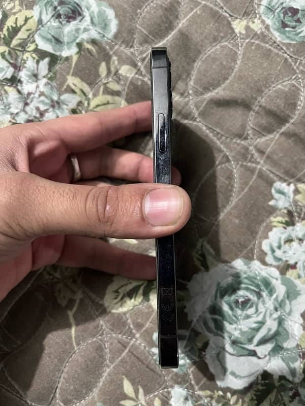 iphone 12 pro pta approved 2