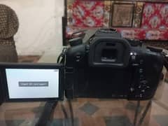 Panasonic Lumix DMC-FZ2500