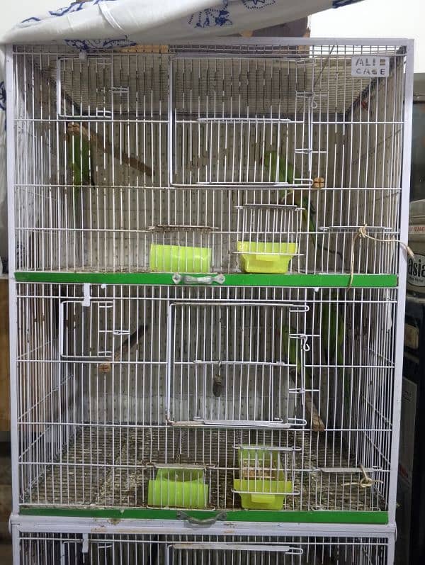 Birds With Cage Setup Green Parrots 0