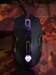 Lighting Mouse & Keyboard