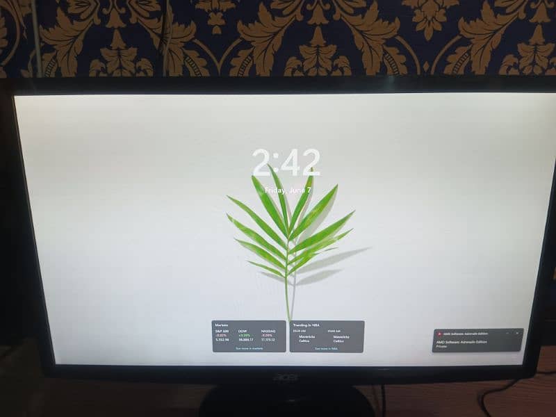 Acer 24 Inch  60 Hz LCD 1920 x 1080 0