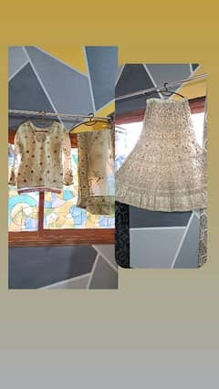 indian fish lehenga