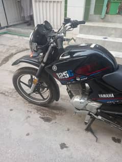 yamaha