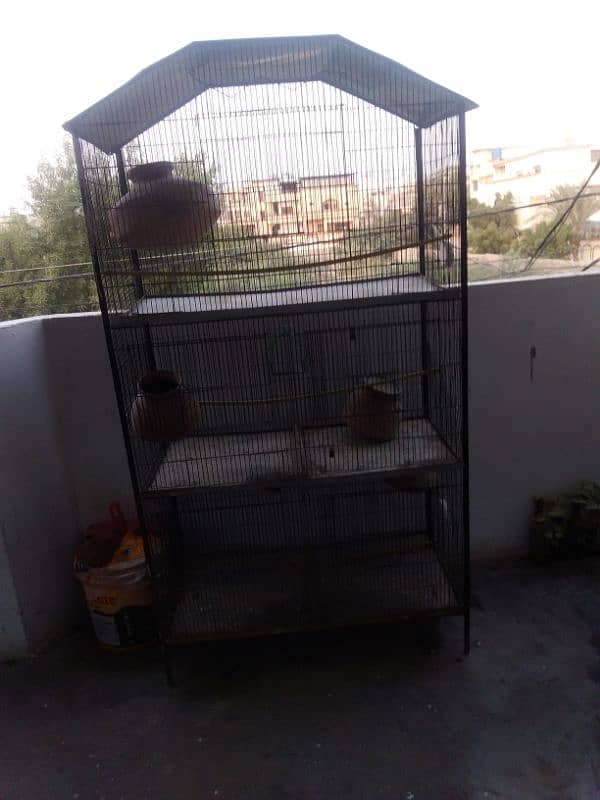 cage for sale 1