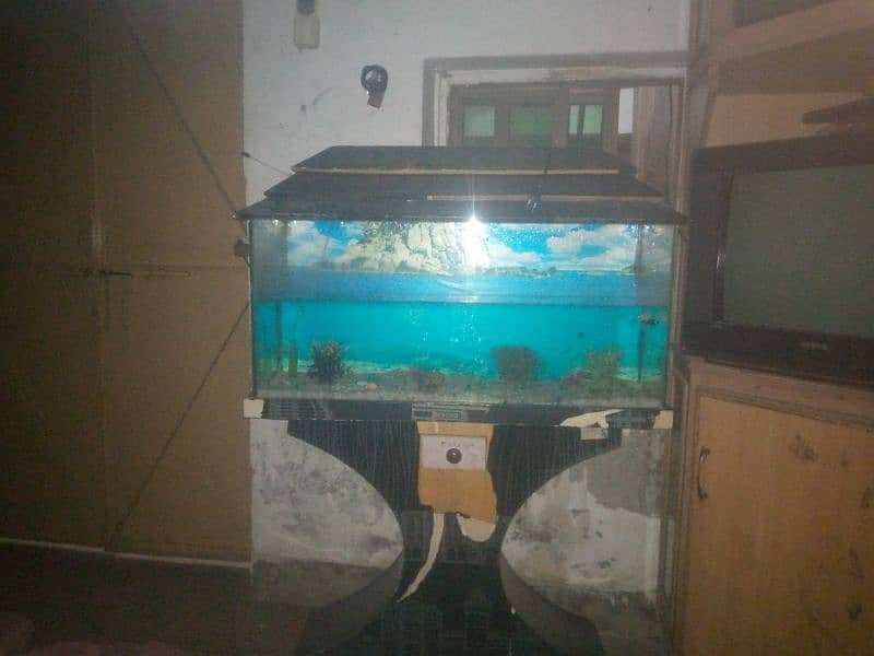 Aquarium for sale at very reasonable price. 0