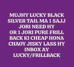 NEED LUCKY+FRILLBACK