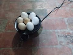 eggs boiler for sa 7 eggs wala   20 mint ma eggs tair