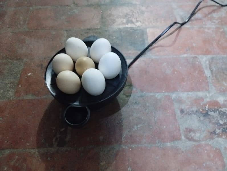 eggs boiler for sa 7 eggs wala   20 mint ma eggs tair 0