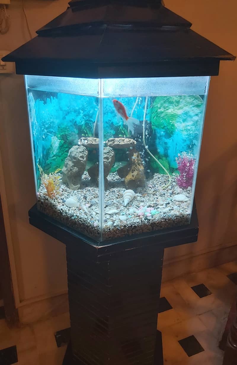 FISH AQUARIUM HEXAGON SHAPE FOR SELL. 0