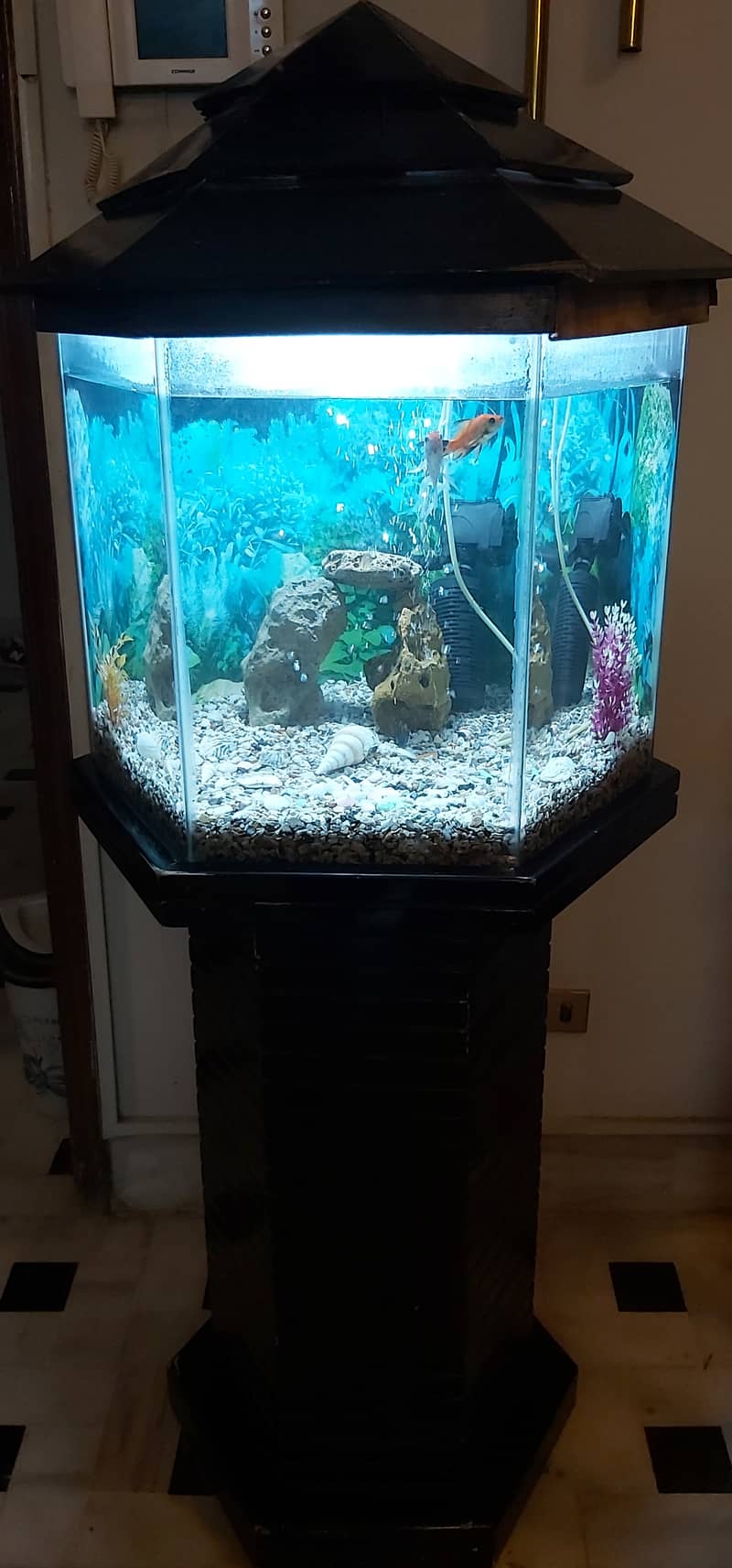 FISH AQUARIUM HEXAGON SHAPE FOR SELL. 5