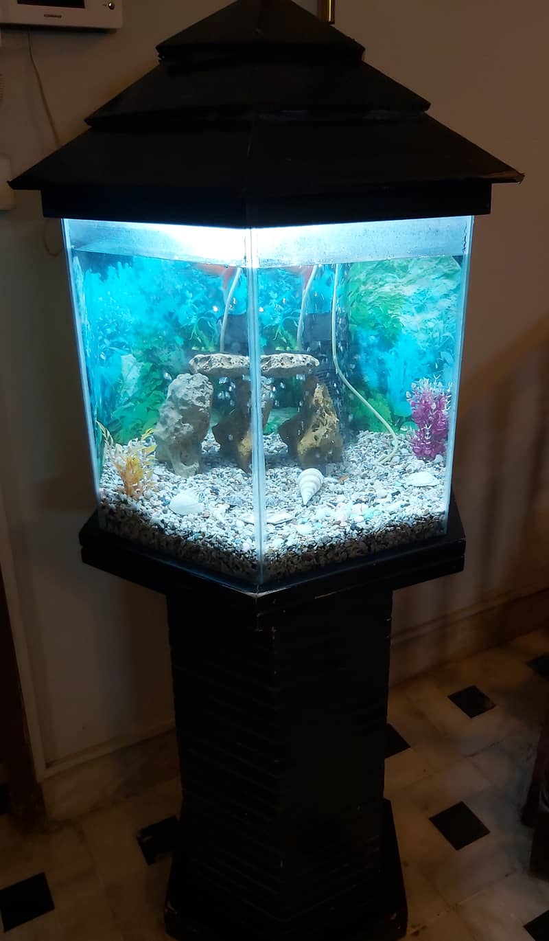 FISH AQUARIUM HEXAGON SHAPE FOR SELL. 6