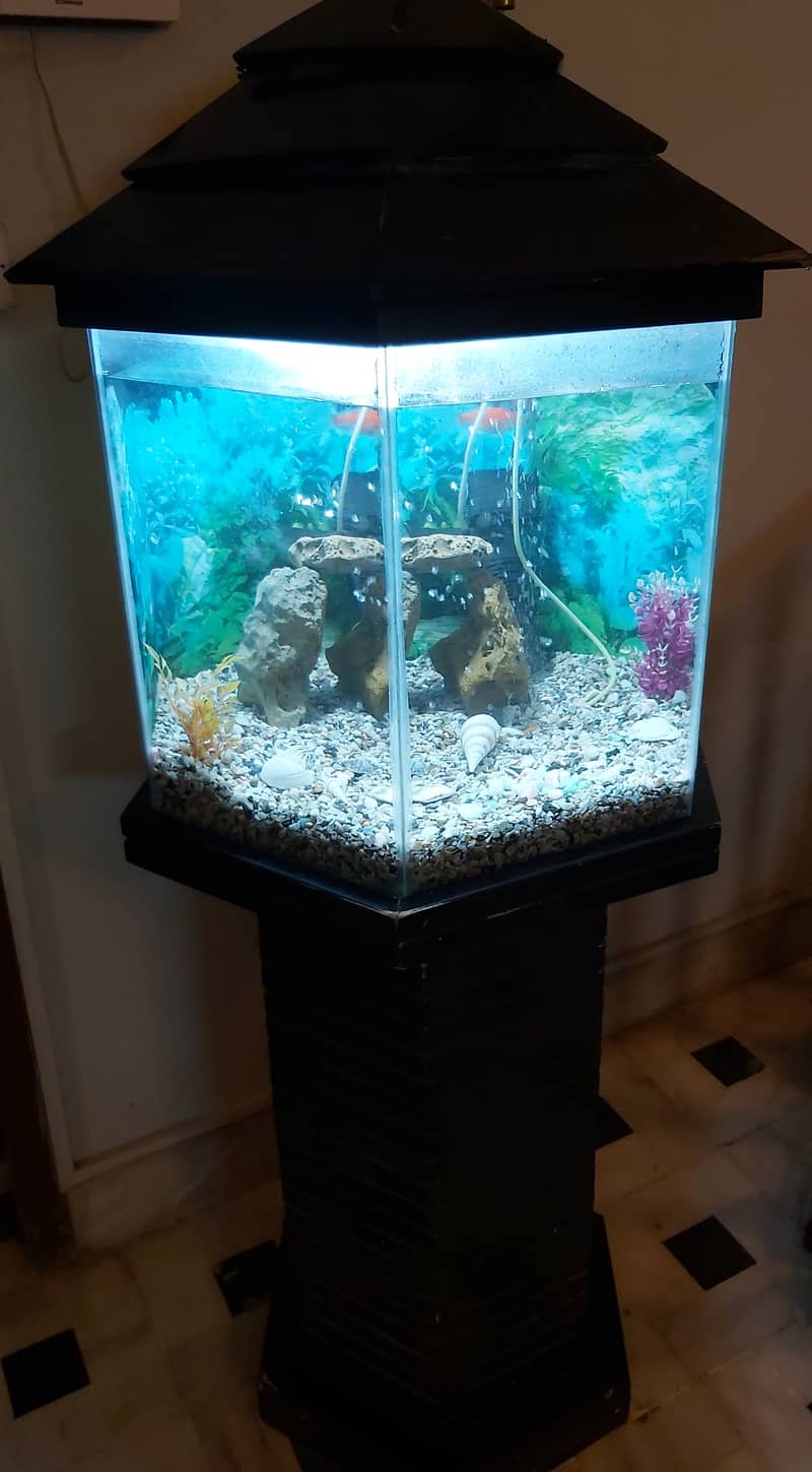 FISH AQUARIUM HEXAGON SHAPE FOR SELL. 7