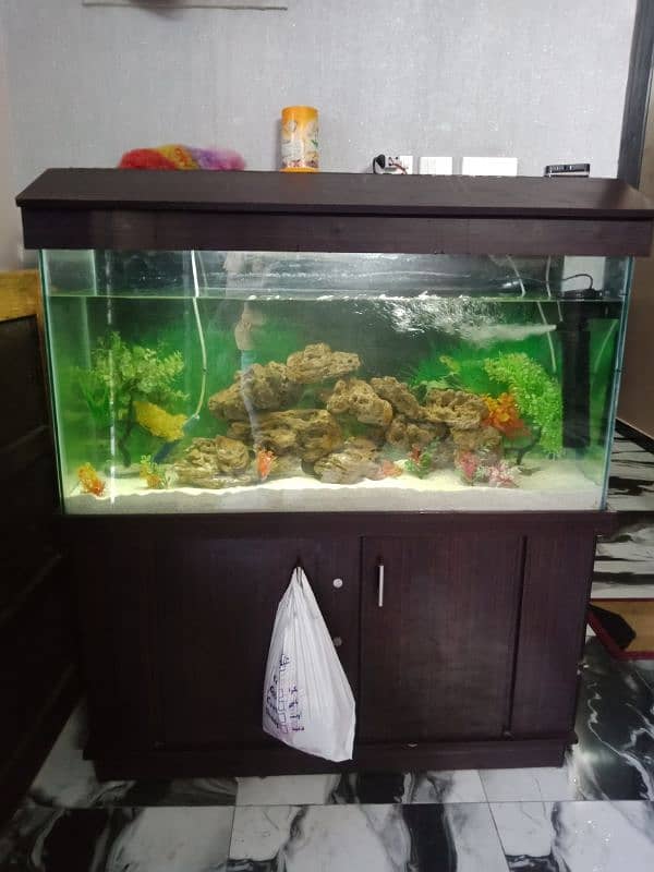 aquarium used condition new 0