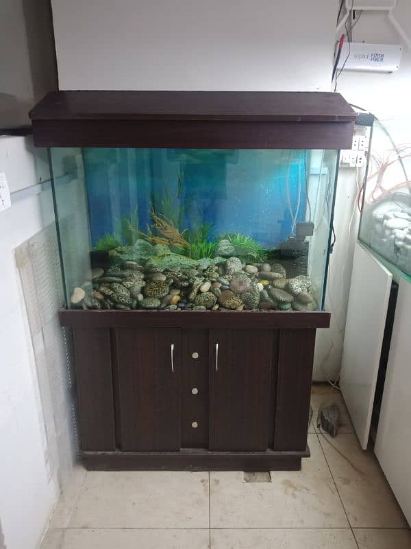 Aquarium Service 1