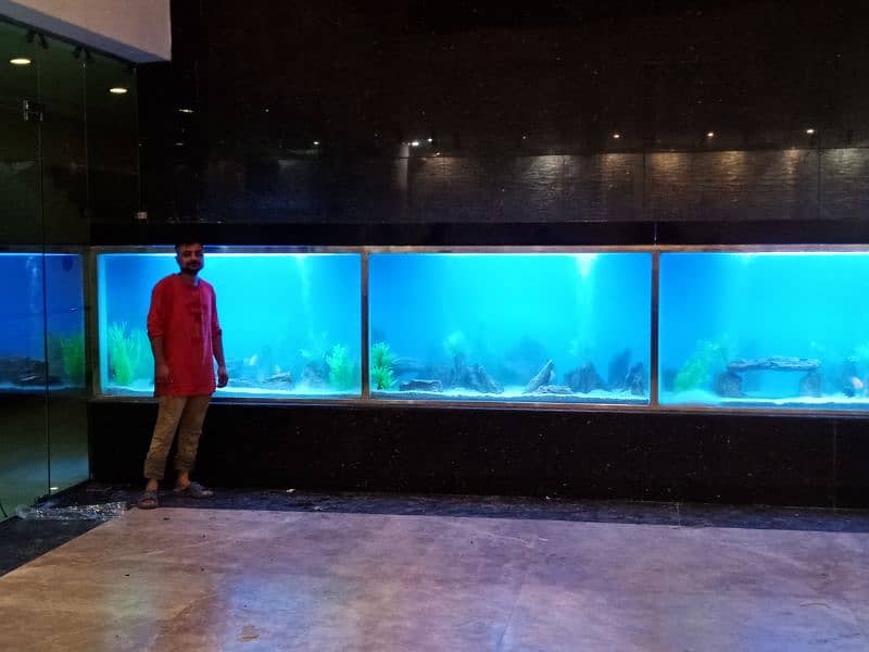 Aquarium Service 4