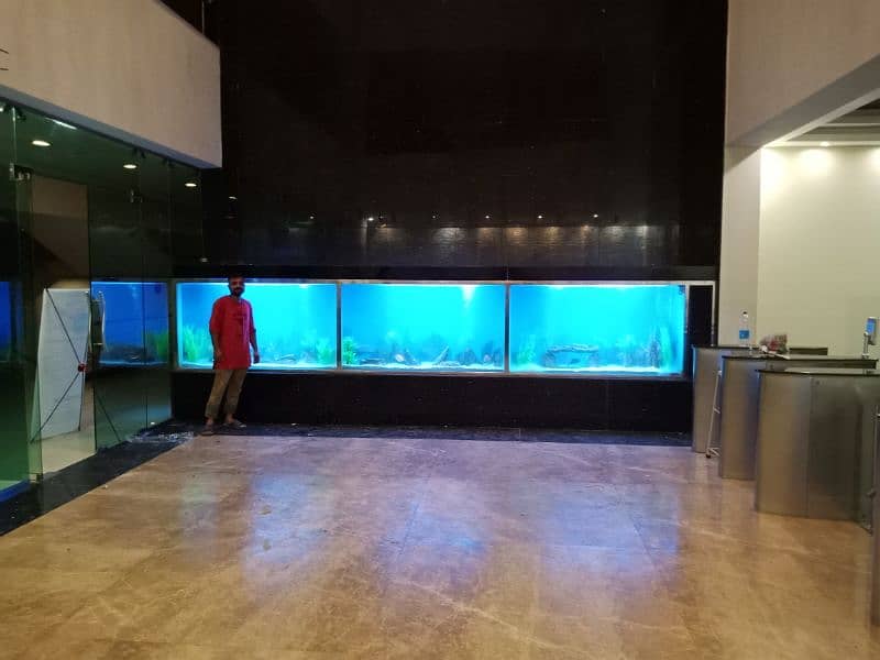 Aquarium Service 5