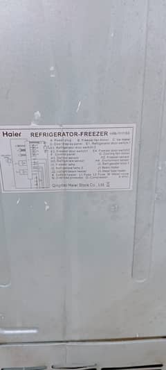 Hair refrigerator  important