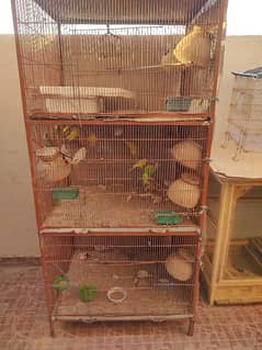 Cage with 10 birds for sale.