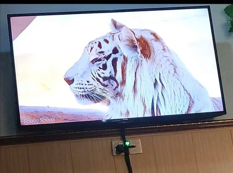 TCL 55 inch Led original 0