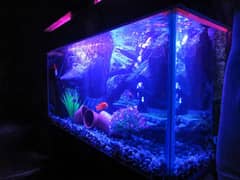 New 3D Running Aquarium For Sale.