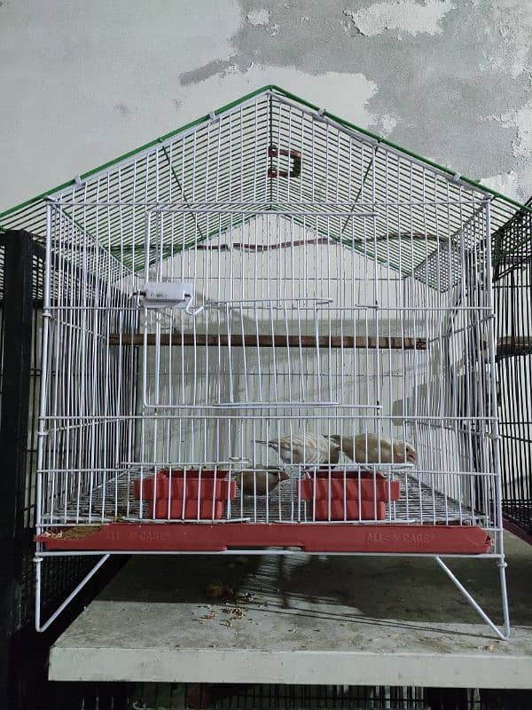 Cages for sale 0321#7242445 only cash Fsd 3