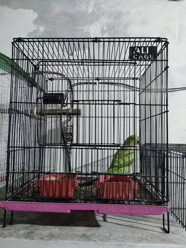 Cages for sale 0321#7242445 only cash Fsd 5