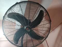 Royal bracket fan