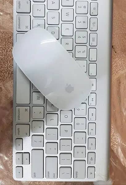 Apple Magic Mouse and Keyboard Pair available 1