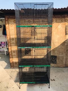 Parrot Cages