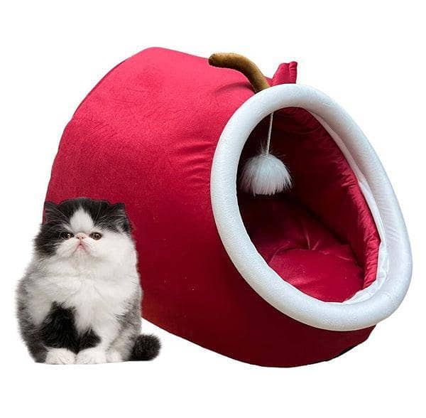 PREMIUM QUALITY CAT PETS HOUSE (FREE DELIVERY ALL OVER THE PAKISTAN) 5