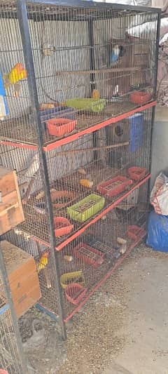 cage for birds