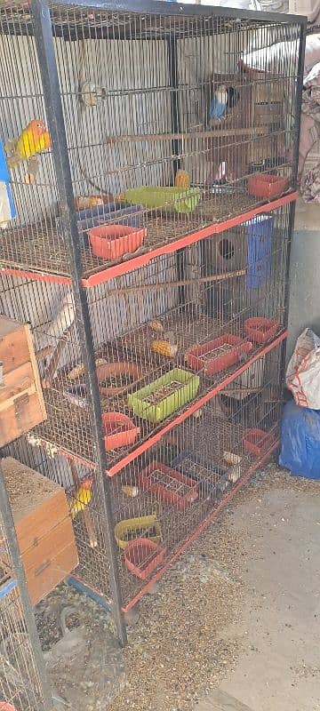 cage for birds 0