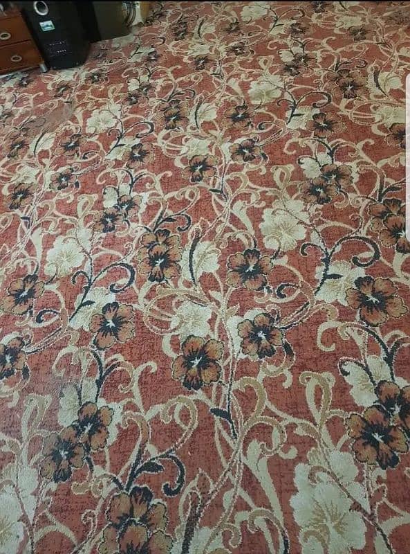 14 X 12 beautiful looking carpet and thick with free foam. 2