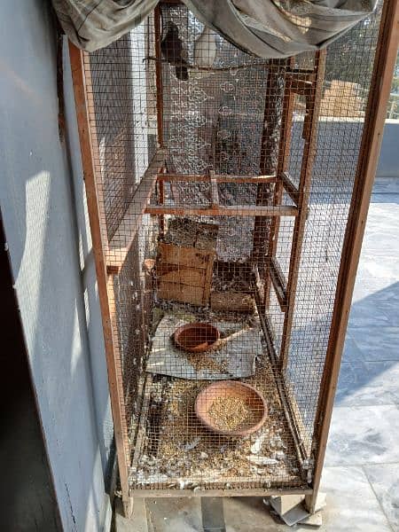 Birds cage urgent sale 1