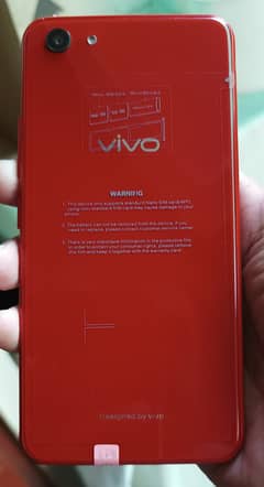 Vivo