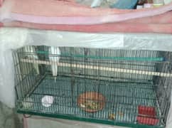 2.5*1.5 feet only single cages buy