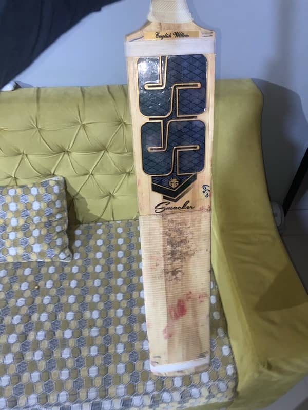 Cricket Bat 2