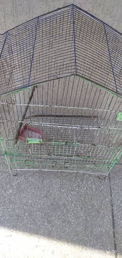 parrot cage