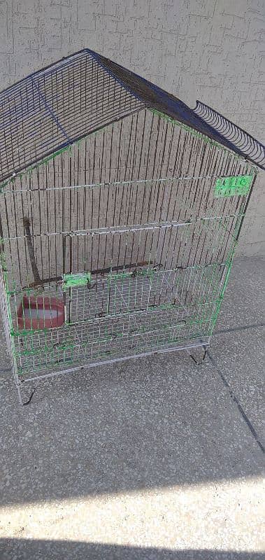 parrot cage 2