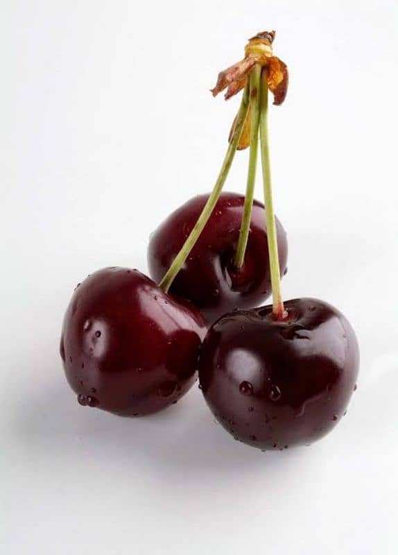 Cherry Seeds Available (imported Quality) 1