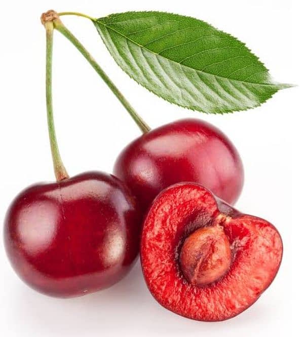 Cherry Seeds Available (imported Quality) 2