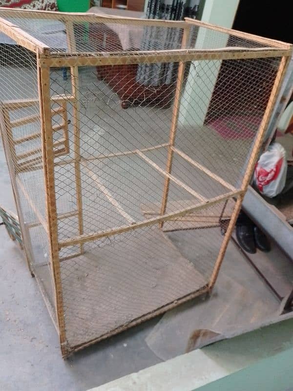 bird and hen cage 0