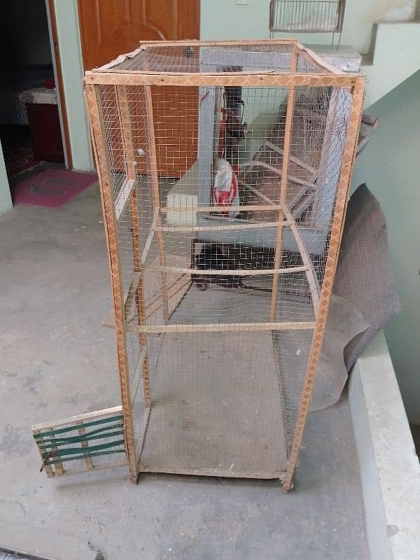 bird and hen cage 1