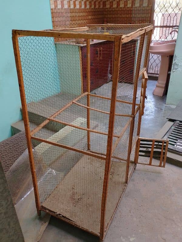 bird and hen cage 2