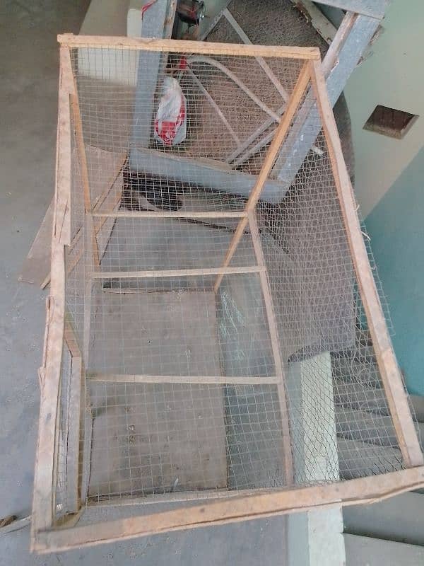 bird and hen cage 4