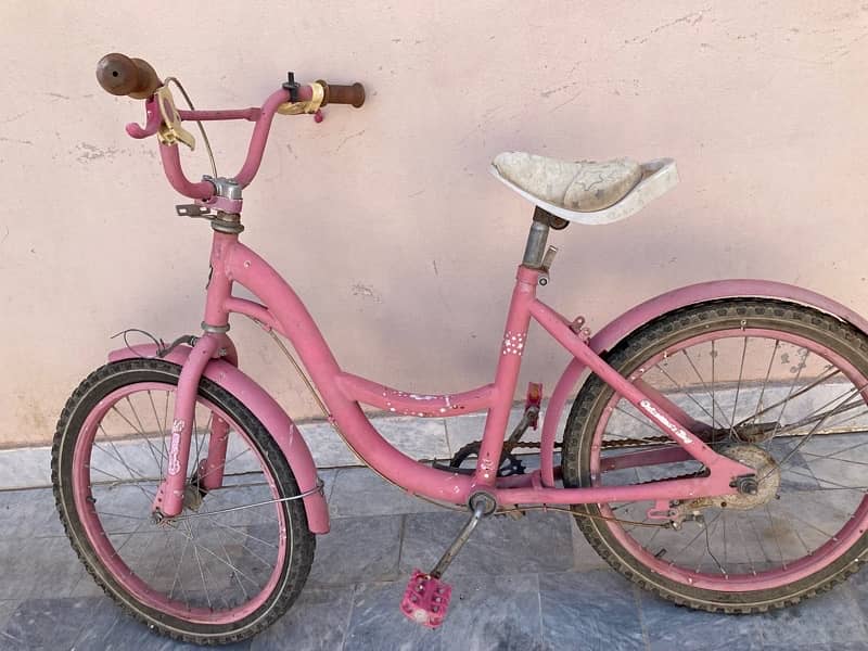 girls bicycle 0