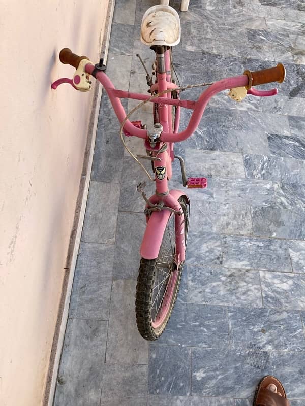 girls bicycle 2