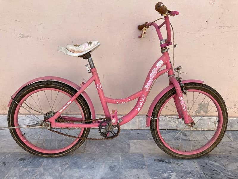 girls bicycle 3