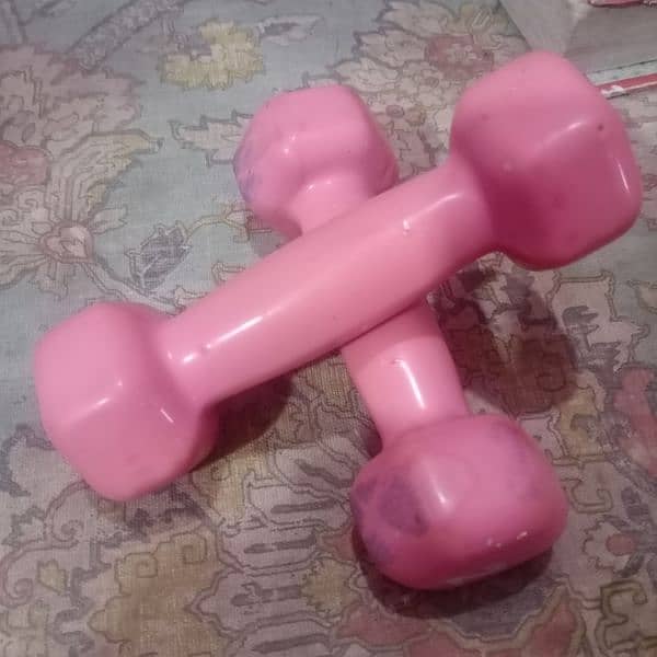 baby Rocklin horse dumbbells waaker pkg 35oo 3