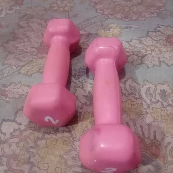 baby Rocklin horse dumbbells waaker pkg 35oo 4